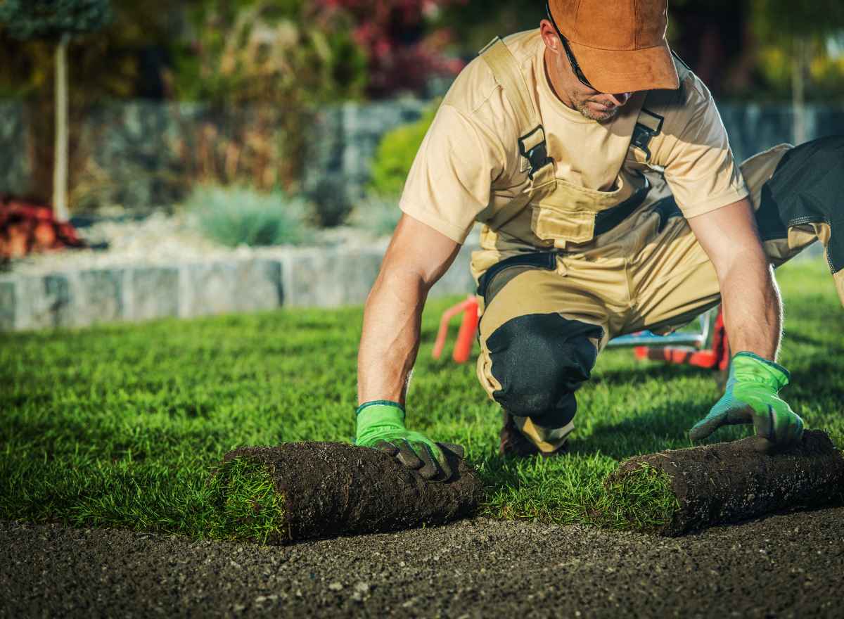 Landscaping business owner laying sod, MCA debt relief for small businesses